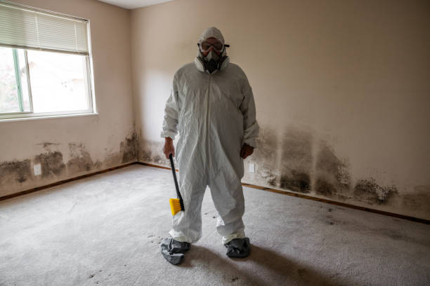 Best Residential Mold Removal  in Hoopers Creek, NC